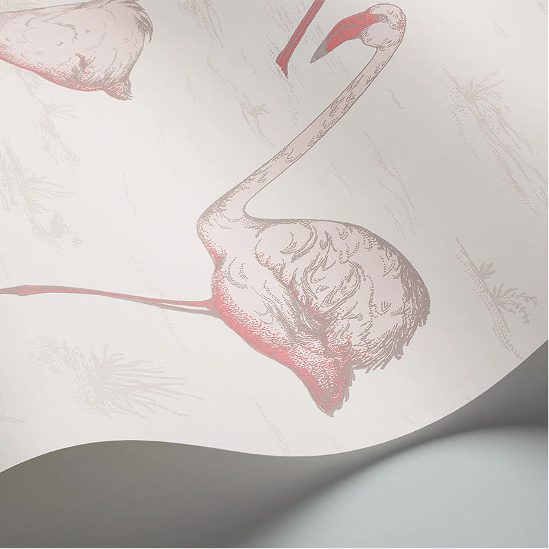 Carta da Parati "FLAMINGOS PANNA & ROSA" The Contemporary | COLE & SON