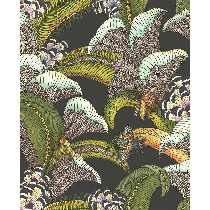 Carta da Parati "HOOPOE LEAVES NERO" Jabula-Ardmore | COLE & SON