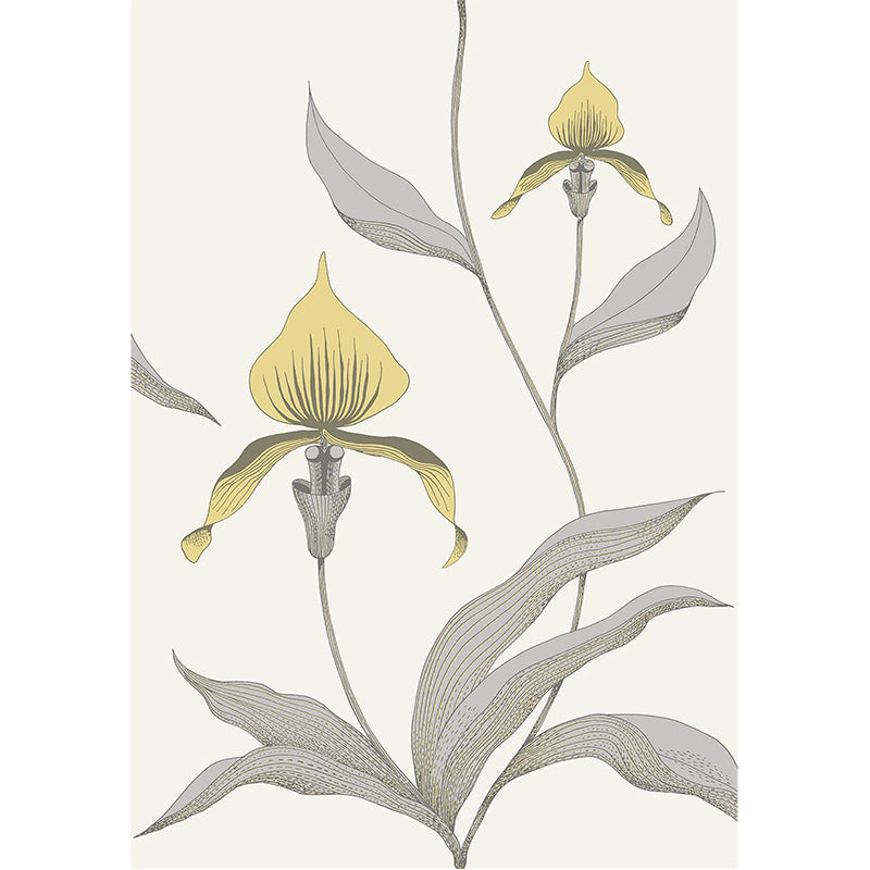 Carta da Parati "ORCHID BIANCO & GIALLO" The Contemporary | COLE & SON