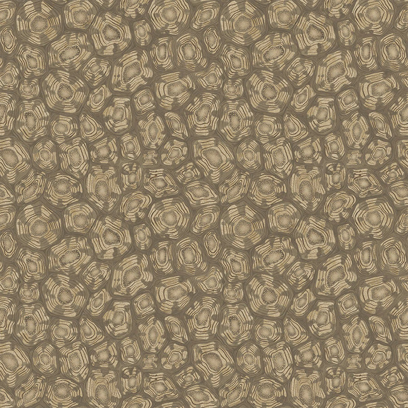 Carta da Parati "SAVANNA SHELL MARRONE CHIARO" Jabula-Ardmore | COLE & SON