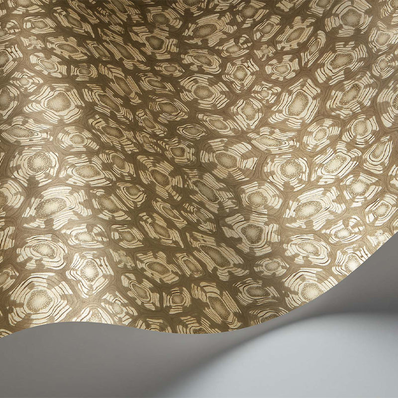 Carta da Parati "SAVANNA SHELL MARRONE CHIARO" Jabula-Ardmore | COLE & SON