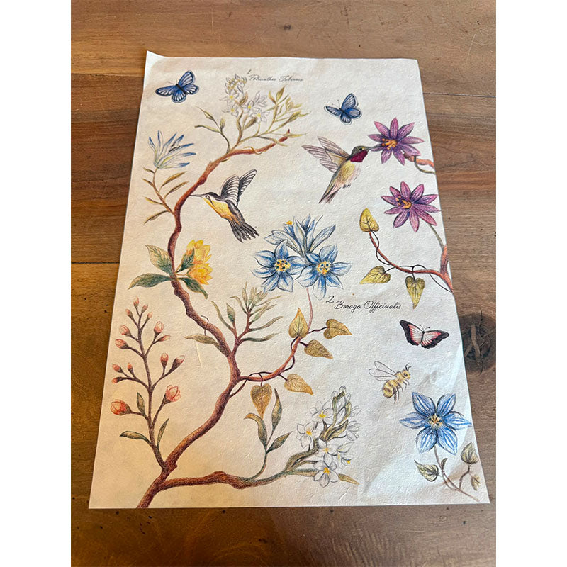 Cutting "Time for magic"