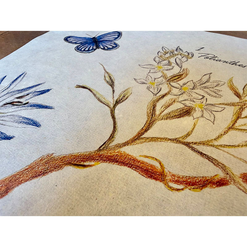 Dècoupage Botanical vintage - Natura in primavera