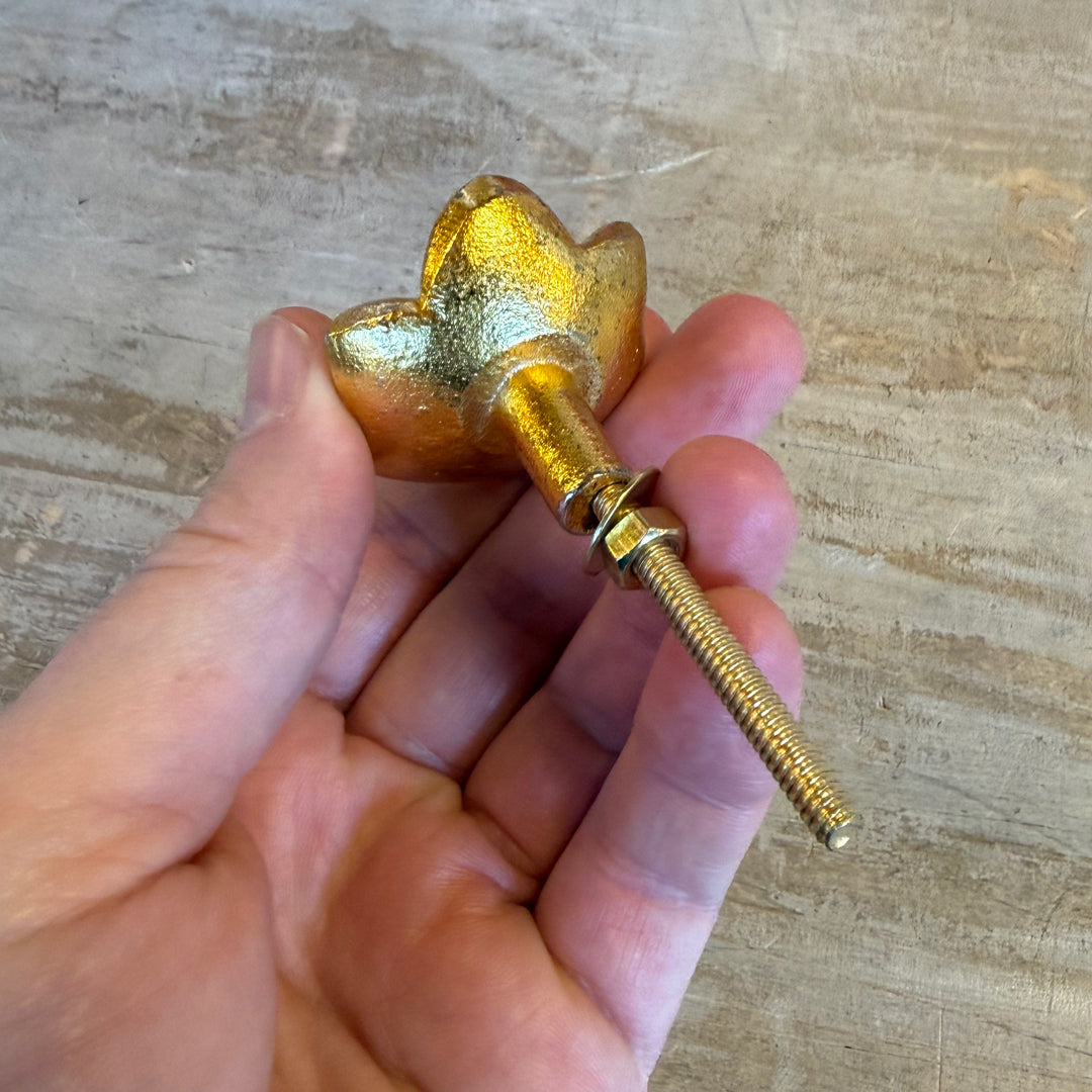 Pomello in Ferro "Rosa dorata"