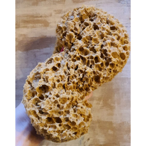 Spugna "Molly" per effetti anticati