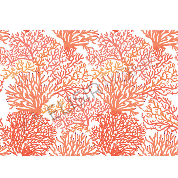 Stampa Trasferibile “FANTASIA, CORALLI ” 28×40 cm