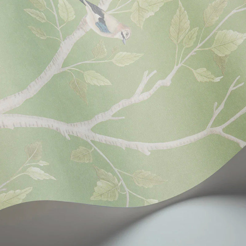 Carta da Parati "SEASONAL WOODS Jade" The Garden | COLE & SON