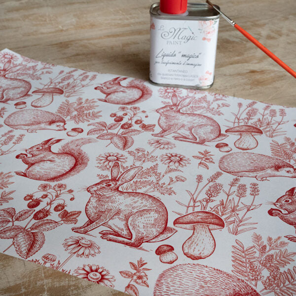 Stampa Trasferibile "FLORA & FAUNA, UNDERWOOD" 28X40 cm