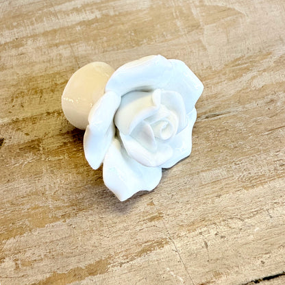 Pomello “Rosa bianca"