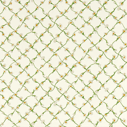 Carta da Parati “DAISY TRELLIS EMERALD/PEARL” | HARLEQUIN