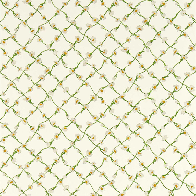 Carta da Parati “DAISY TRELLIS EMERALD/PEARL” | HARLEQUIN