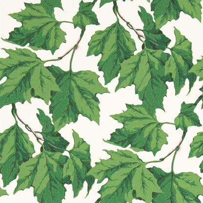 Carta da Parati “DAPPLED LEAF EMERALD” | HARLEQUIN