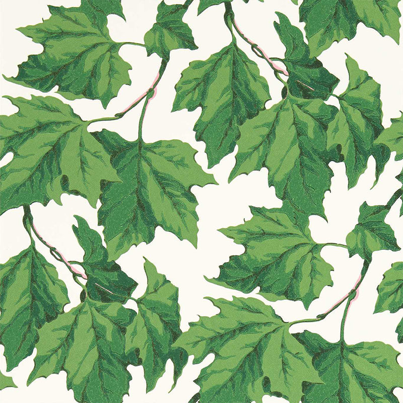 Carta da Parati “DAPPLED LEAF EMERALD” | HARLEQUIN
