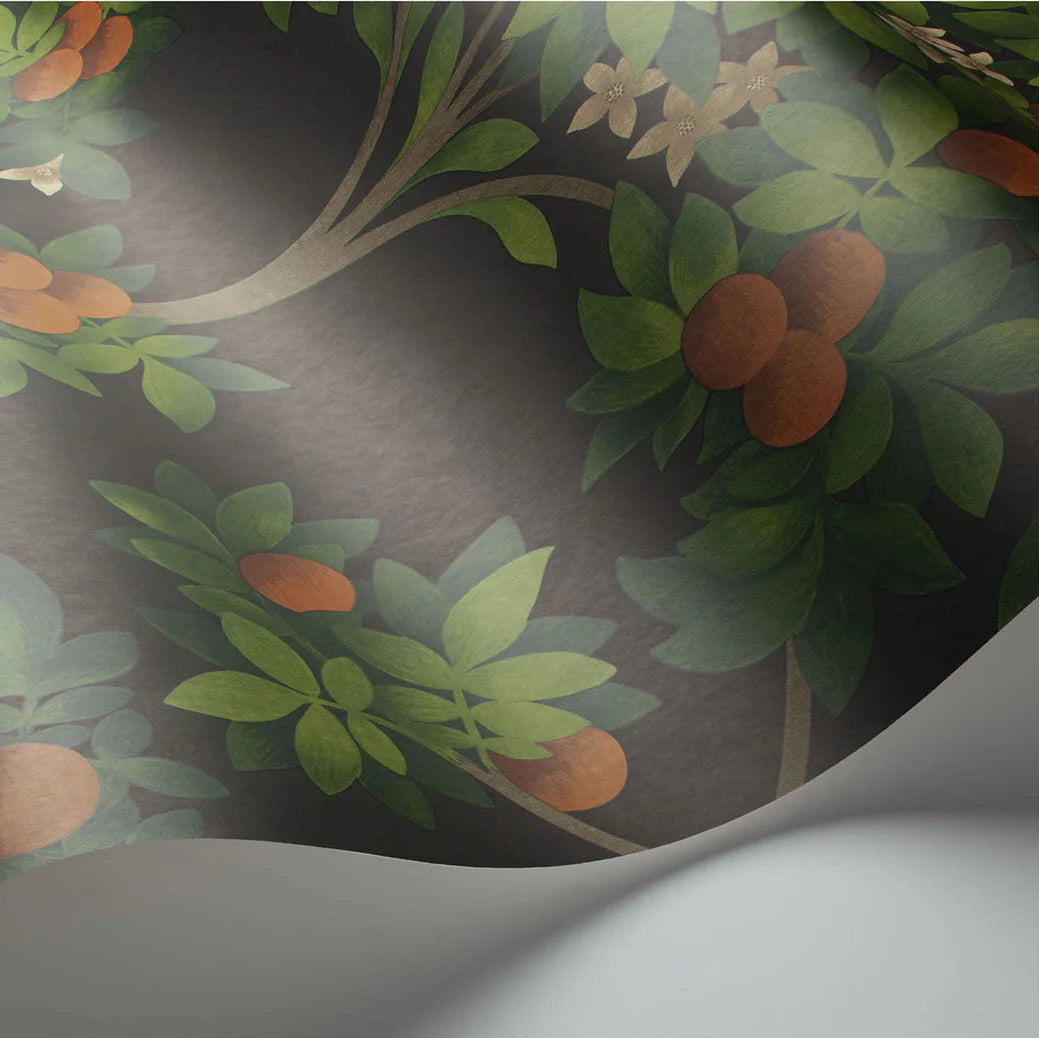 Tapete „Orangenblüte grau und orange“ | COLE & SON