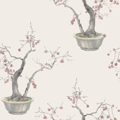 Carta da parati "Kaki Persimmon rosa chiaro" - YOKU | COLE&SON