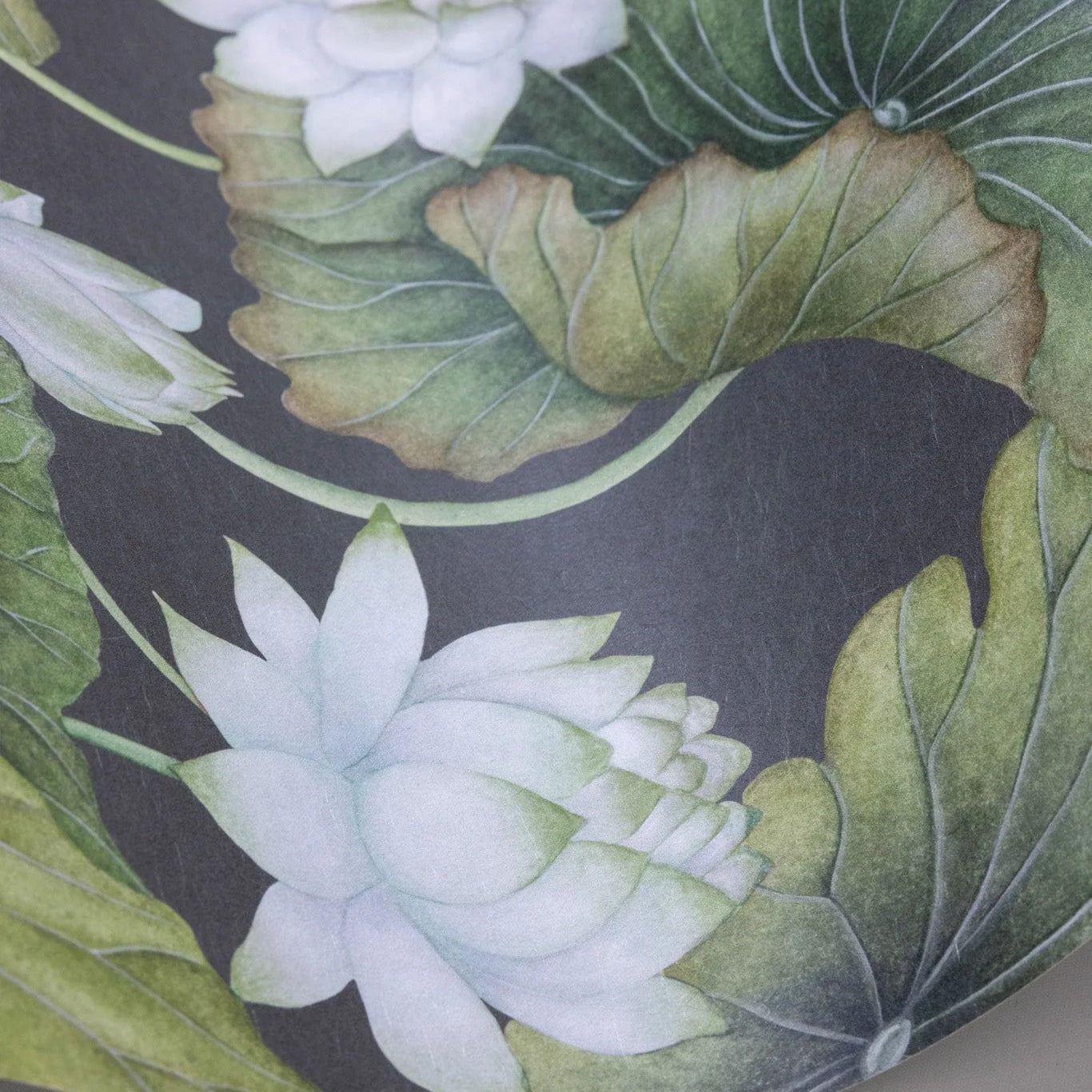 Carta da parati "Lily Lotus verde" - YOKU | COLE&SON