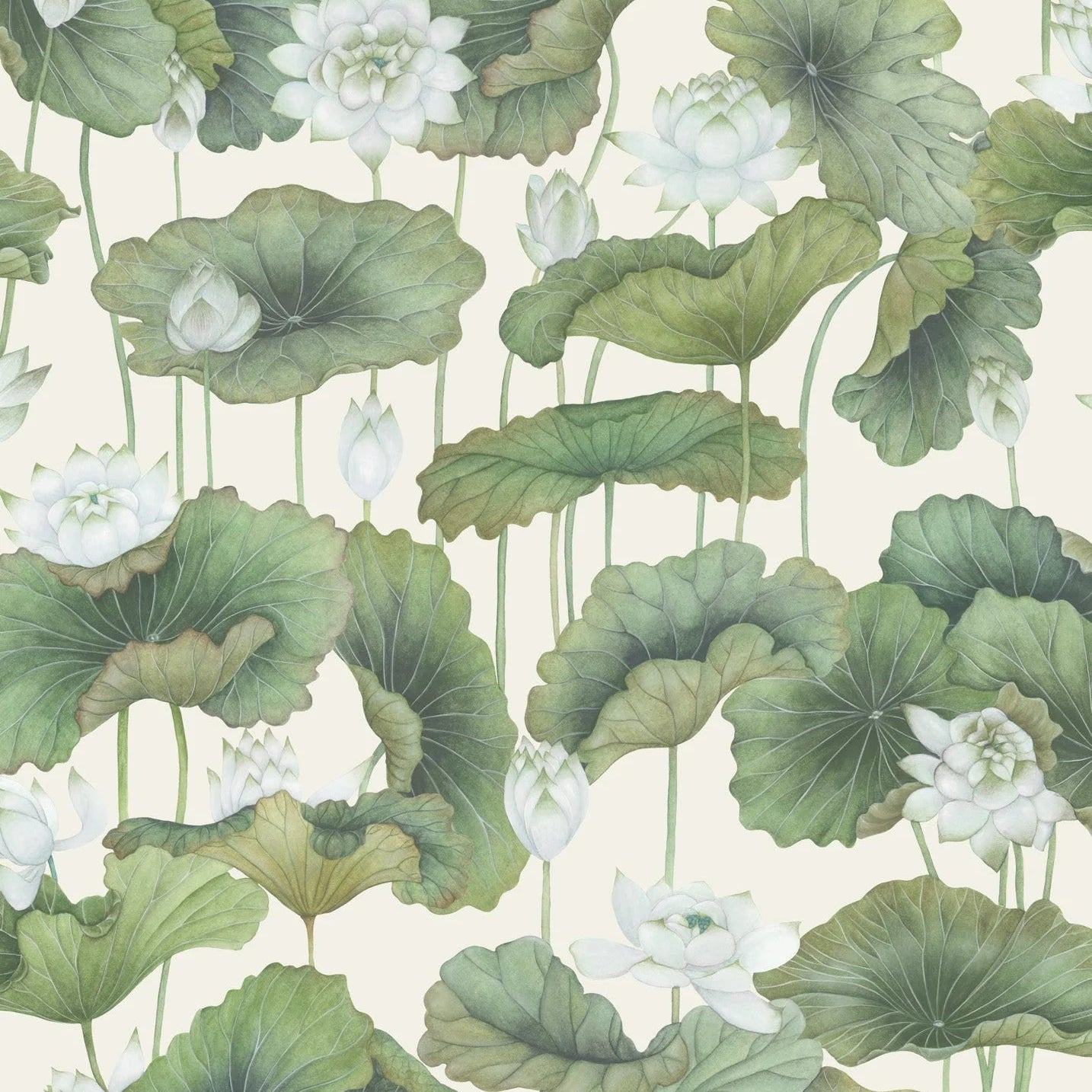 Carta da parati "Lily Lotus fondo beige" - YOKU | COLE&SON