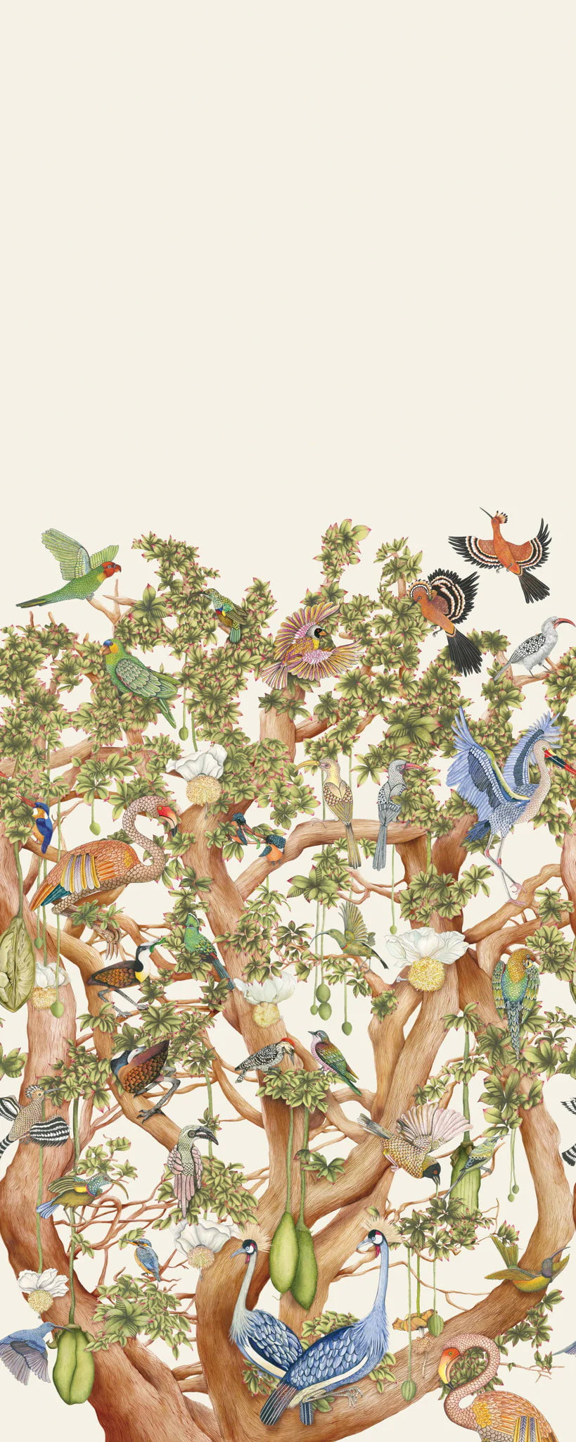 Carta da Parati “Tree of Life Beige" | COLE & SON ARDMORE BAOBAB
