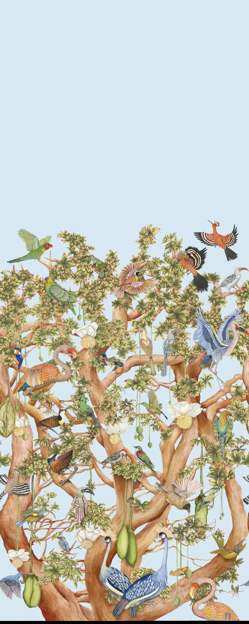 Carta da Parati “Tree of Life celeste" | COLE & SON ARDMORE BAOBAB