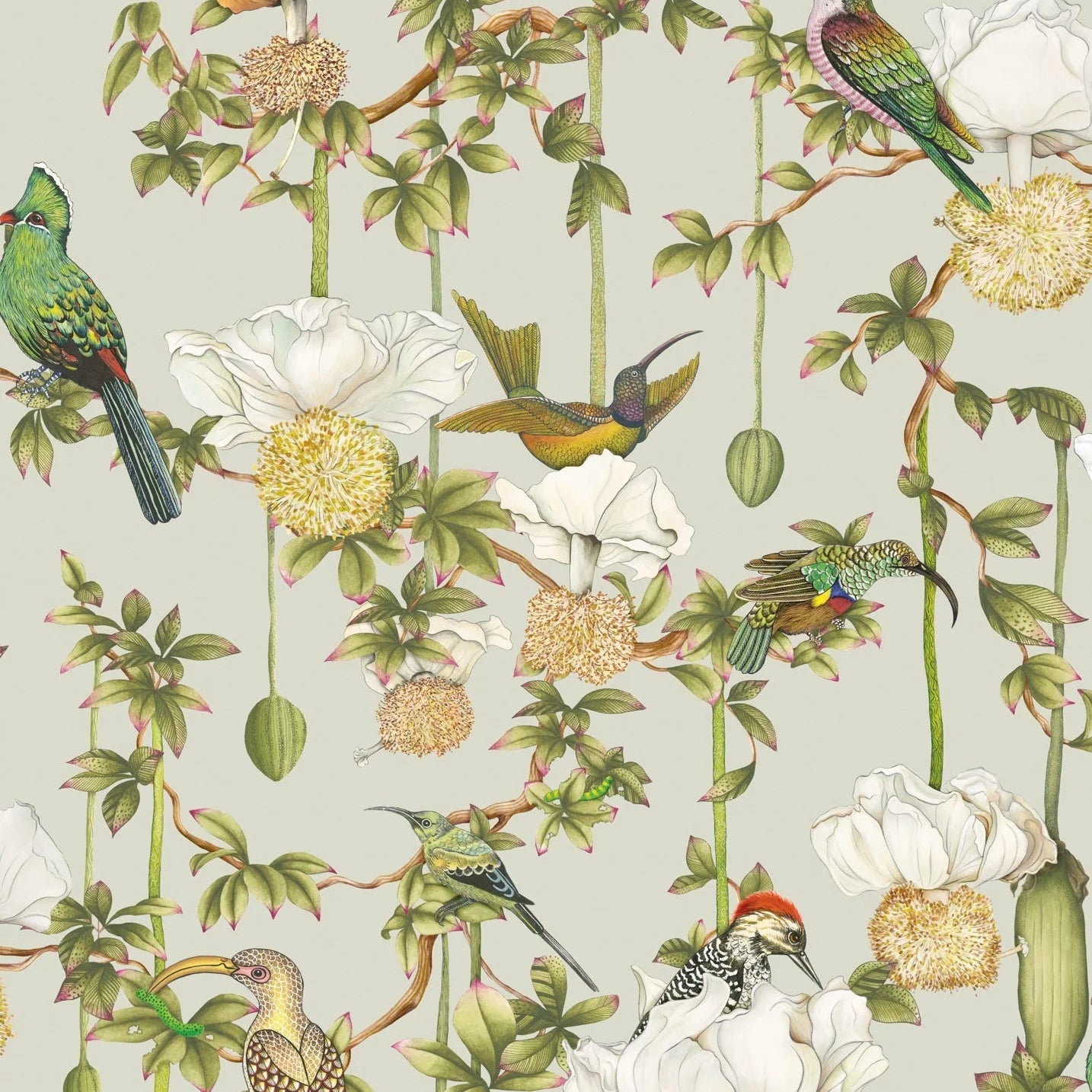 Carta da Parati “Baobab Botanica verde chiaro" | COLE & SON ARDMORE BAOBAB