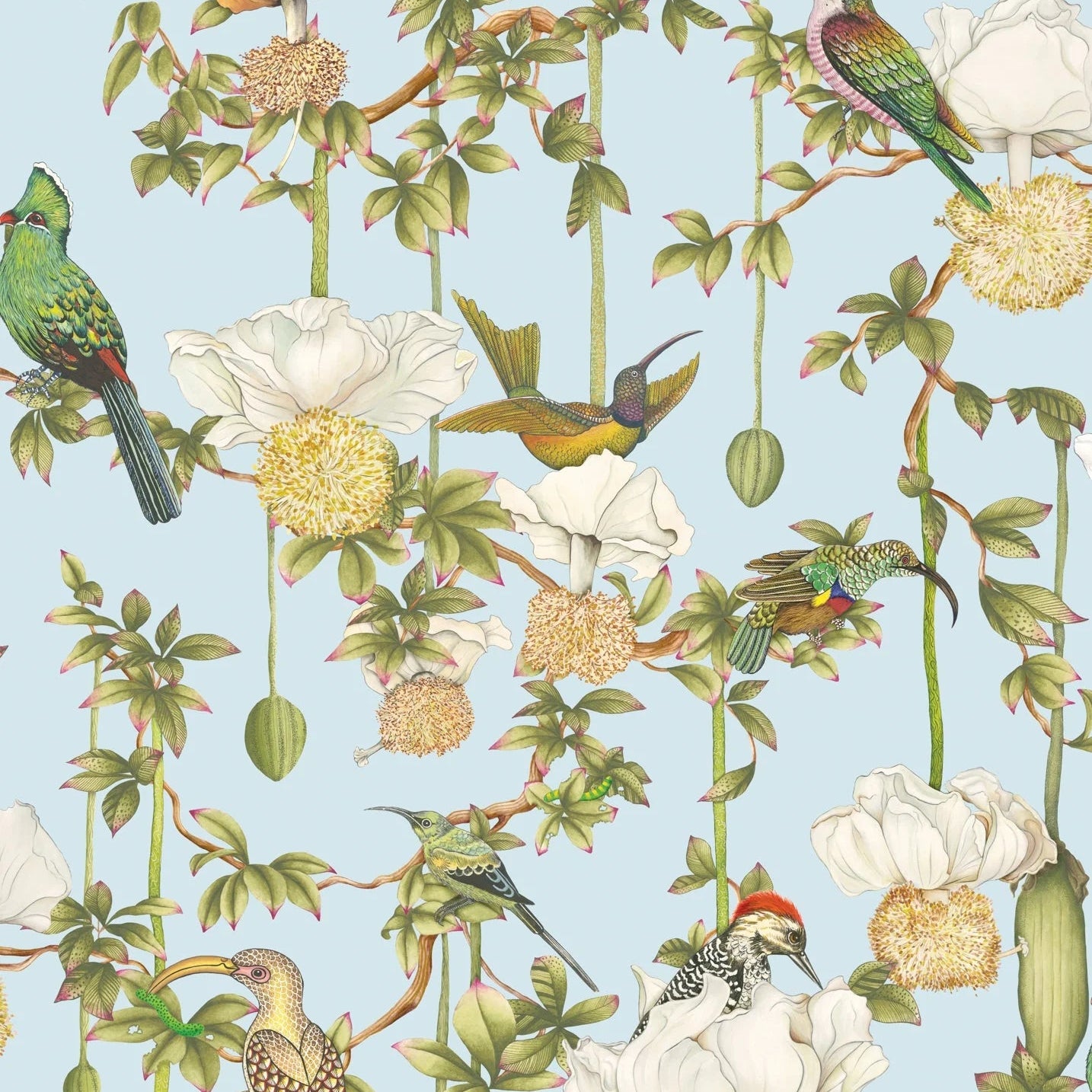 Carta da Parati “Baobab Botanica celeste" | COLE & SON ARDMORE BAOBAB