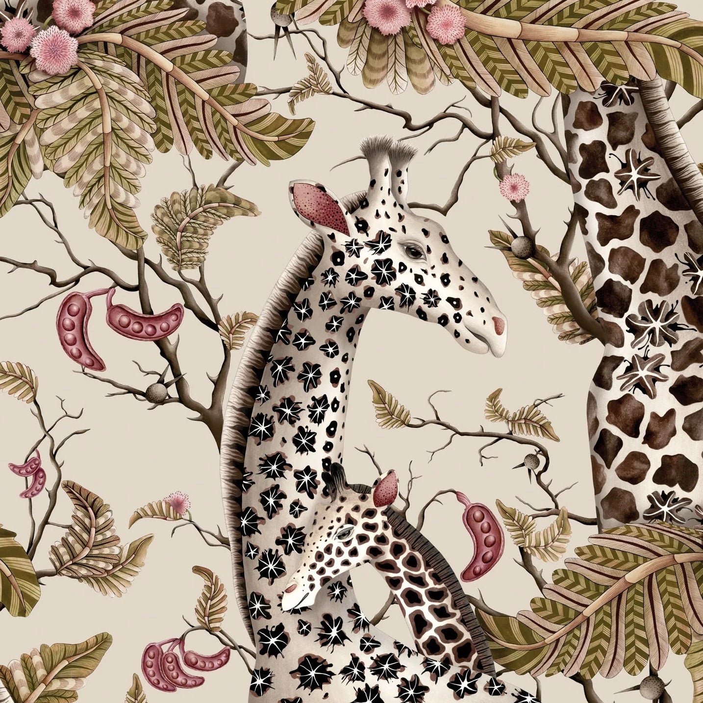 Carta da Parati “Royal Giraffe argento" | COLE & SON ARDMORE BAOBAB