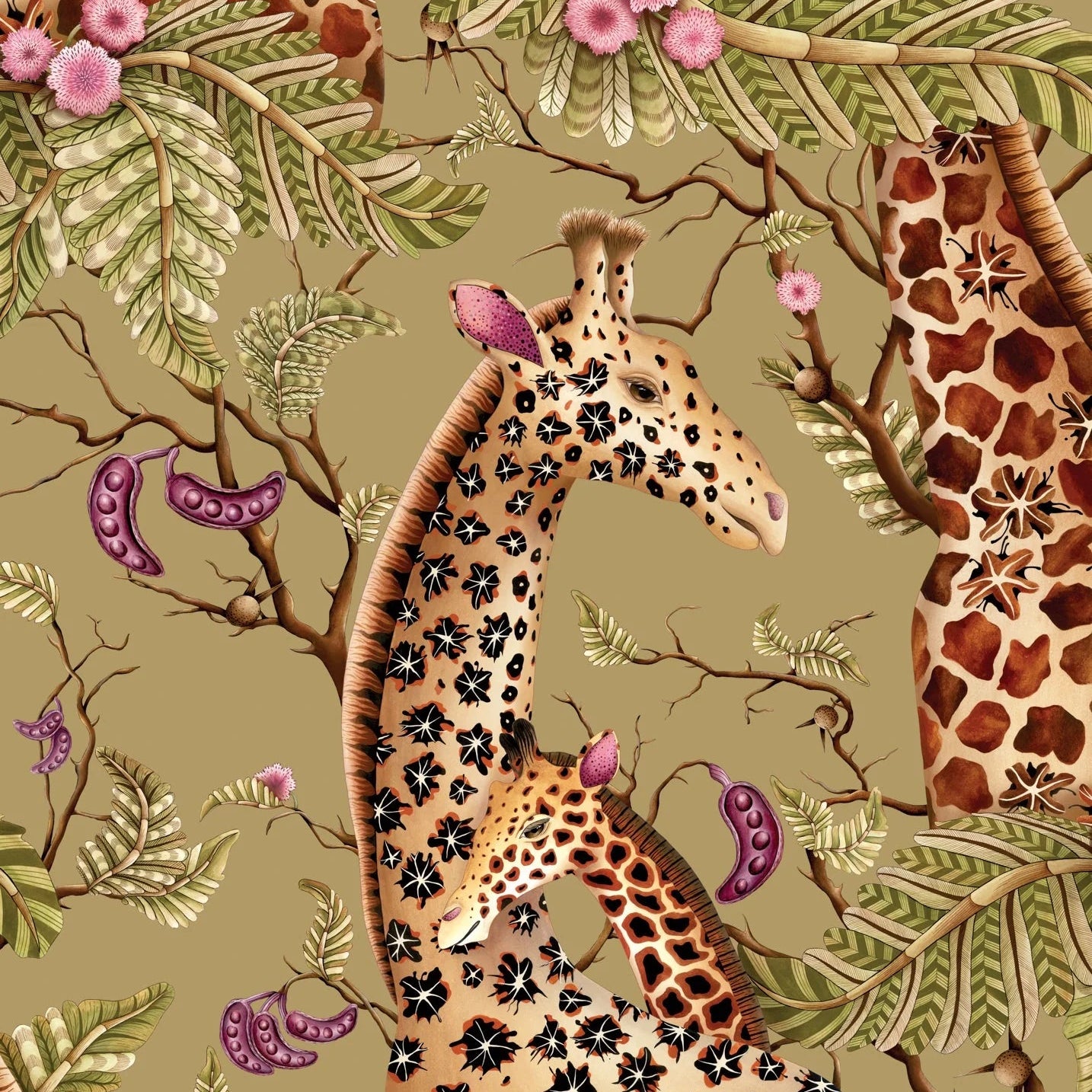 Carta da Parati “Royal Giraffe oro" | COLE & SON ARDMORE BAOBAB