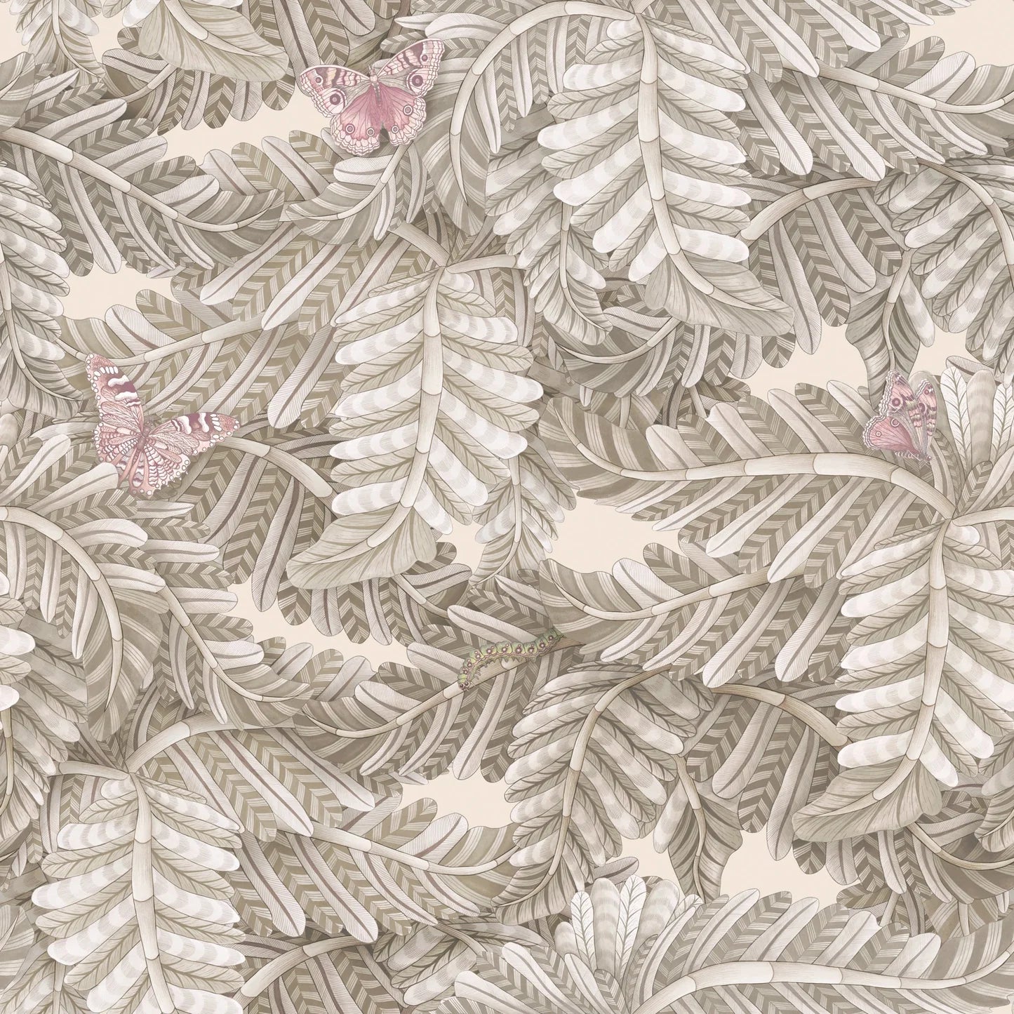 Carta da Parati “Acacia Canopy grigio" | COLE & SON ARDMORE BAOBAB