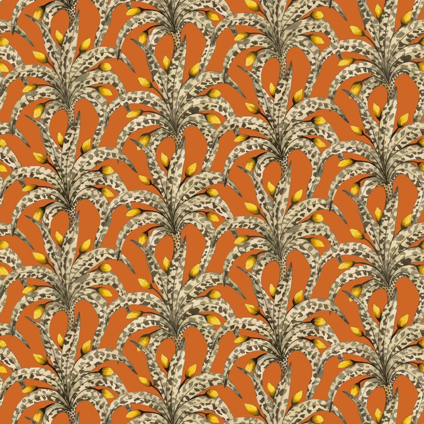 Carta da Parati “Afrika Damask arancione" | COLE & SON ARDMORE BAOBAB