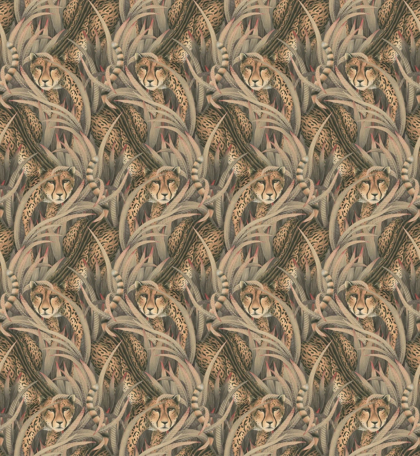 Carta da Parati “Cheetah Prowl grigio" | COLE & SON ARDMORE BAOBAB