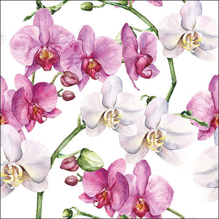 Tovaglioli in carta "Elegant orchids white" - pacco da 20