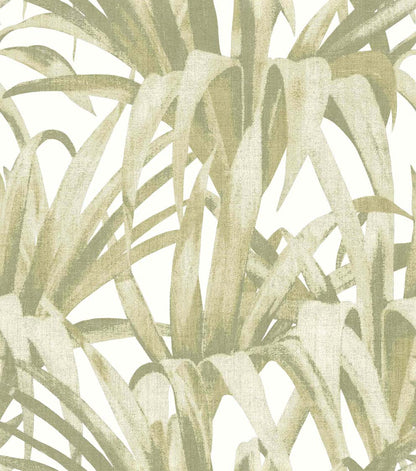 Carta da parati "BOTANY HOUSE ESOTICA VERDE", a metraggio o rotolo