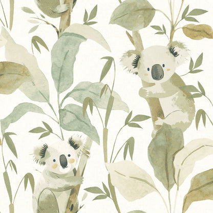 Carta da parati "koala verdi”, a metraggio o a rotolo