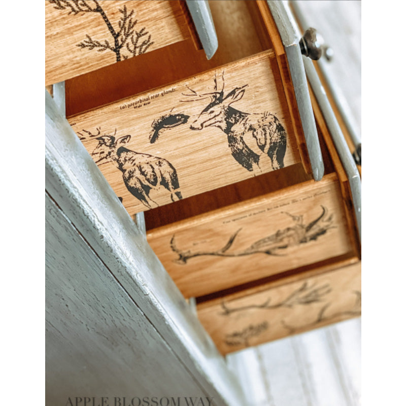 Redesign Decor Transfers “DEER” 58x84 cm