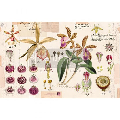 Carta da Découpage "PURPLE BEAUTY" in Tessuto 48x76cm