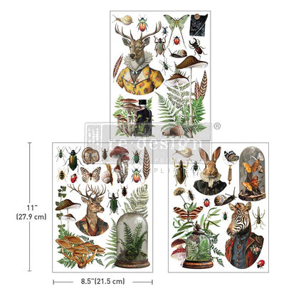 Redesign Decor Transfers “Ephemera Enclave” 21,5x28 cm