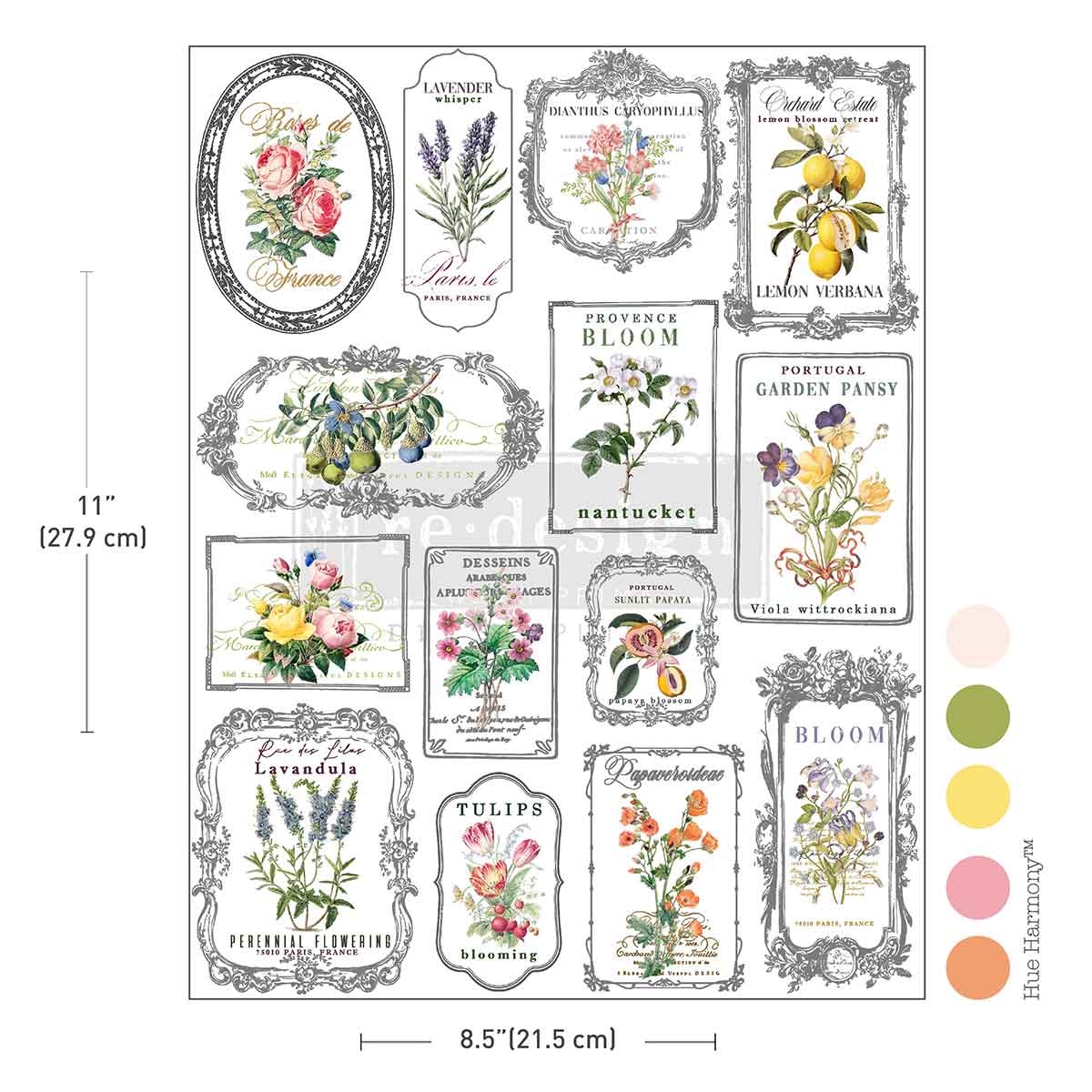 H2O Redesign Decor Transfers "Whispers & Petals" 1 foglio 21,5 x 29,7c