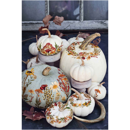 Redesign Decor Transfers “DRIED WILDFLOWERS” 21,5x28 cm