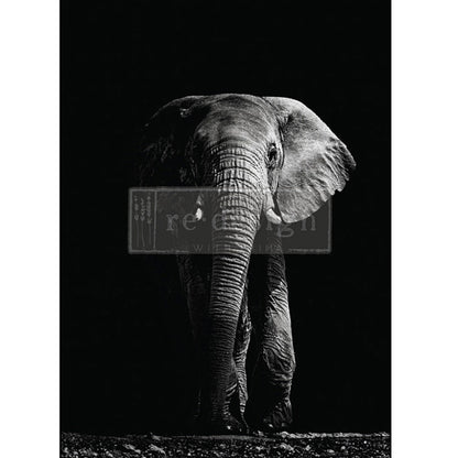 Carta da Découpage "Shadows of Wisdom " in Carta di Riso 59x84 cm