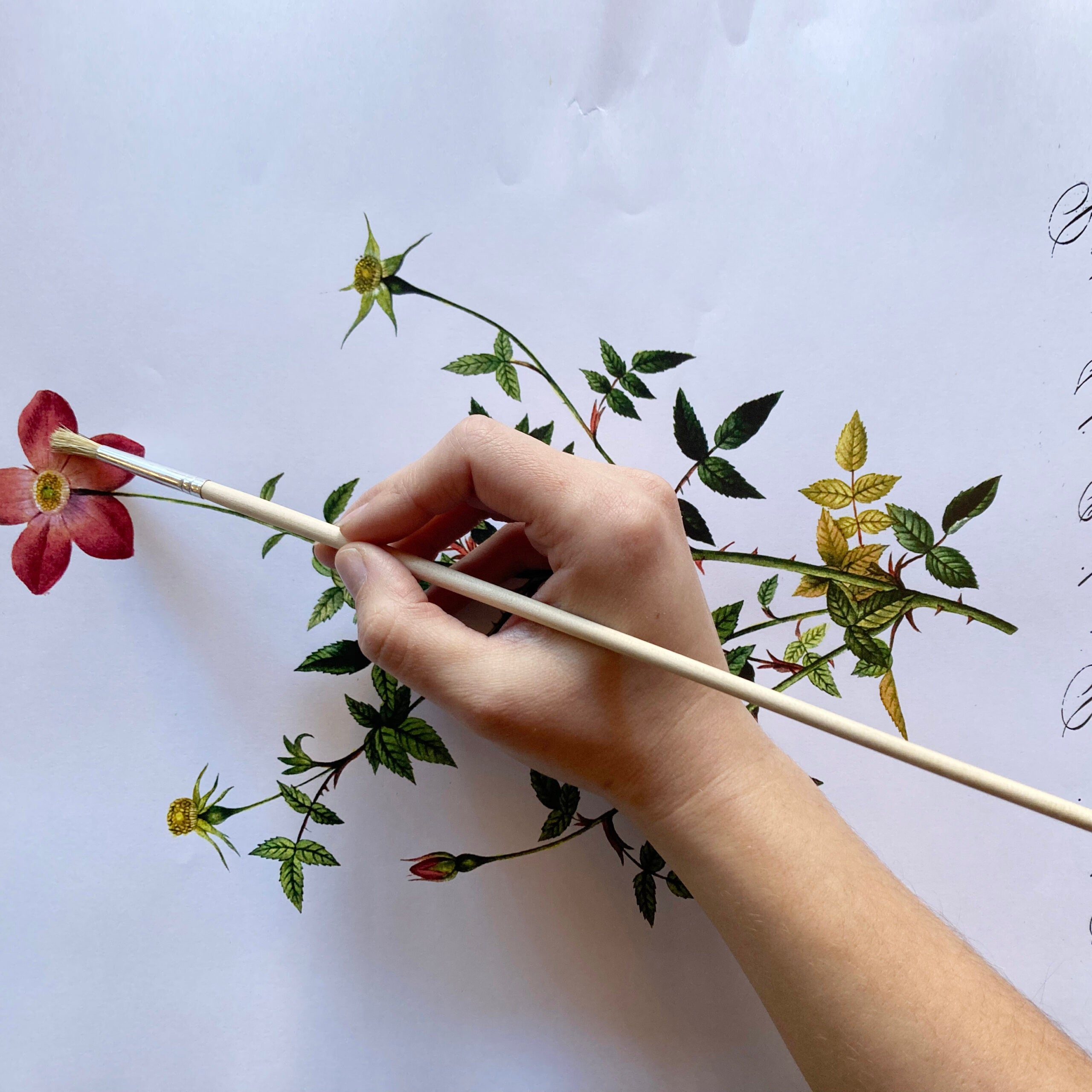 Pennellino per Liquido per Transfer Magic Paint