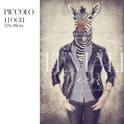 Dècoupage Fauna Pop - Zebra Rock