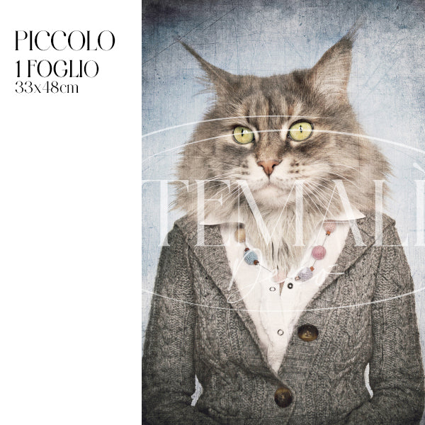 Dècoupage Fauna Pop - Gatto Raffinato