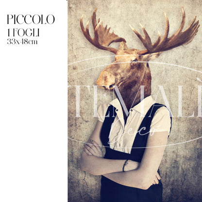 Dècoupage Fauna Pop - Alce Glam