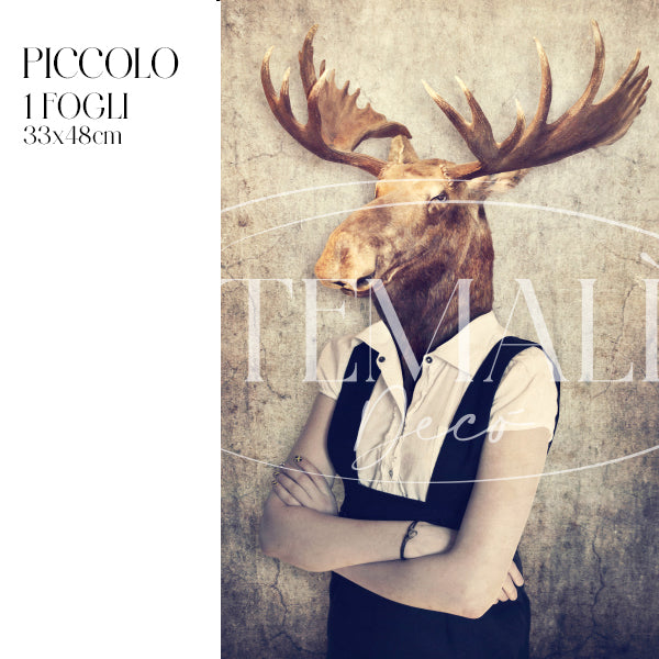 Dècoupage Fauna Pop - Alce Glam