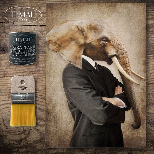 Dècoupage Fauna Pop - Elefante Cool