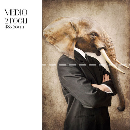 Dècoupage Fauna Pop - Elefante Cool