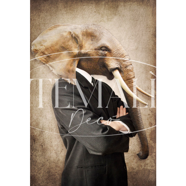 Dècoupage Fauna Pop - Elefante Cool