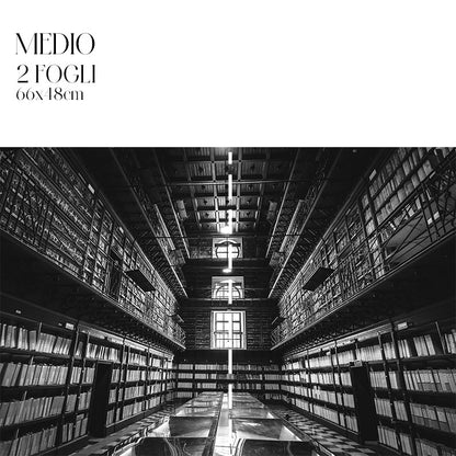 Découpage Architettura - Biblioteca Palermo