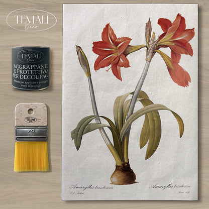 Dècoupage Botanical Vintage - Amarillo