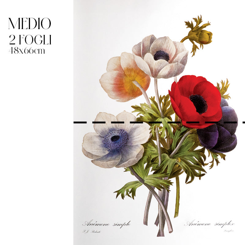 Dècoupage Botanical Vintage - Composizione Anemoni